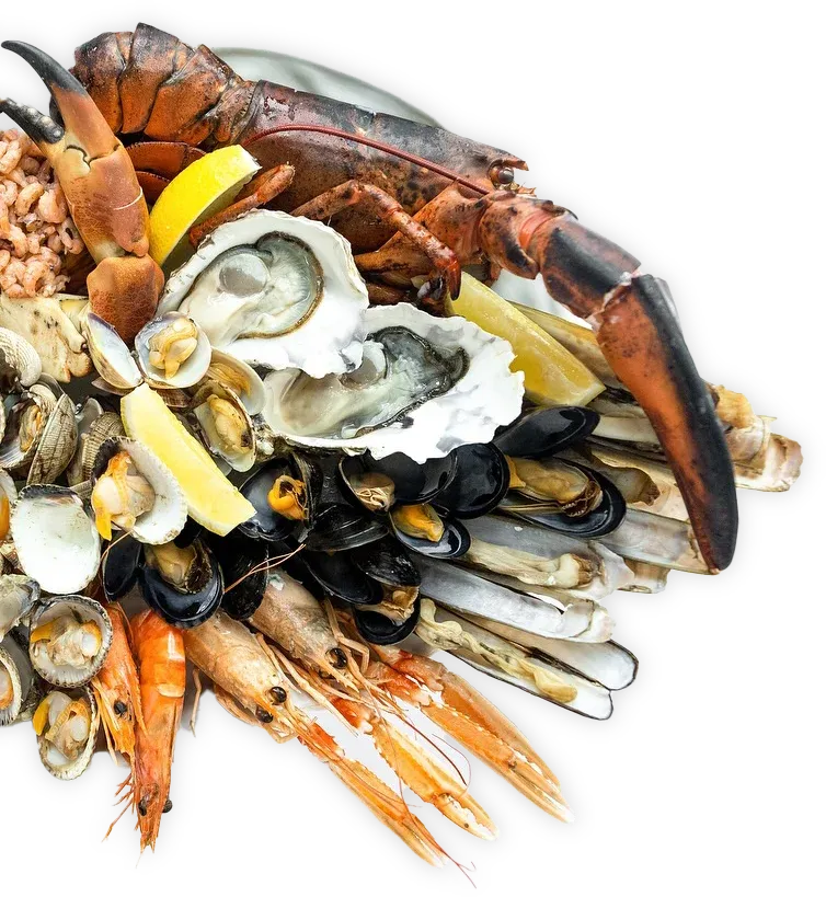 Decoration of seafood
