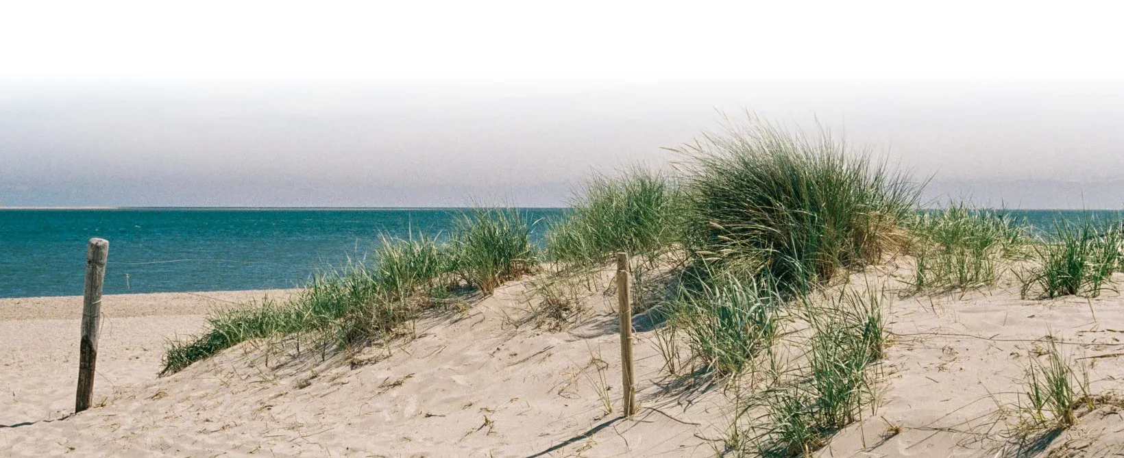 Strand achtergrond foto voor versiering